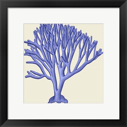 Framed Blue Corals c Print