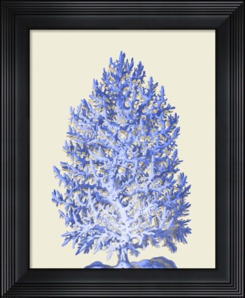 Framed Blue Corals d Print
