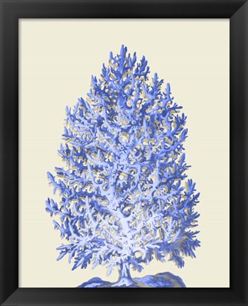 Framed Blue Corals d Print