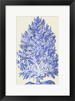 Framed Blue Corals d Print