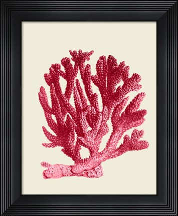Framed Red Corals 1 a Print