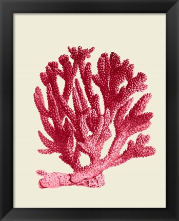 Framed Red Corals 1 a Print