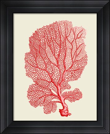 Framed Red Corals 1 b Print