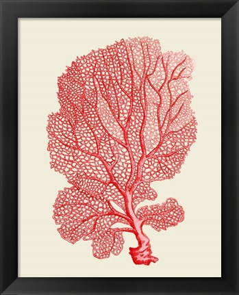 Framed Red Corals 1 b Print