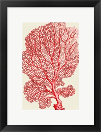 Framed Red Corals 1 b Print