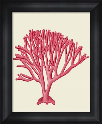 Framed Red Corals 1 c Print