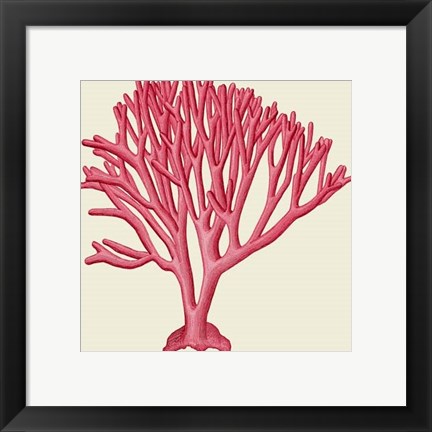 Framed Red Corals 1 c Print