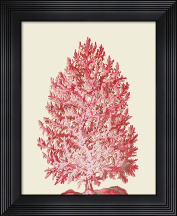 Framed Red Corals 1 d Print