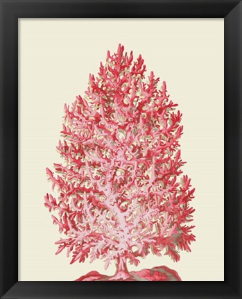 Framed Red Corals 1 d Print