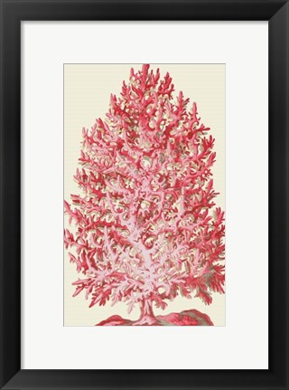 Framed Red Corals 1 d Print