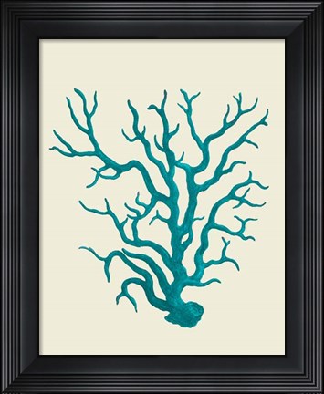 Framed Corals Turquoise On Cream a Print