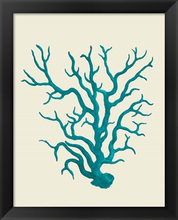 Framed Corals Turquoise On Cream a Print