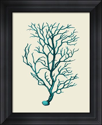 Framed Corals Turquoise On Cream b Print