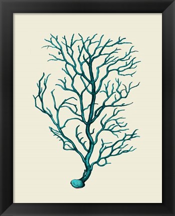 Framed Corals Turquoise On Cream b Print