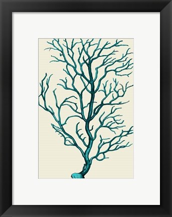 Framed Corals Turquoise On Cream b Print