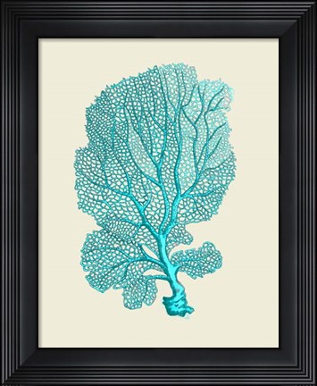 Framed Corals Turquoise On Cream c Print