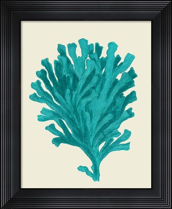 Framed Corals Turquoise On Cream d Print