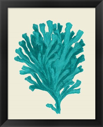 Framed Corals Turquoise On Cream d Print