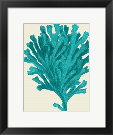Framed Corals Turquoise On Cream d Print