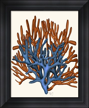 Framed Blue and Orange Corals b Print