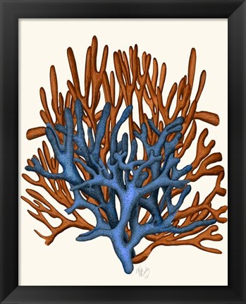 Framed Blue and Orange Corals b Print