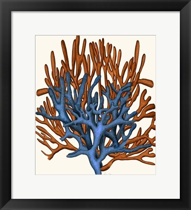 Framed Blue and Orange Corals b Print