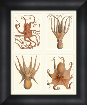 Framed Octopus on 4 Panels Print