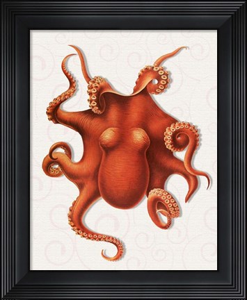 Framed Octopus 4 Orange Print