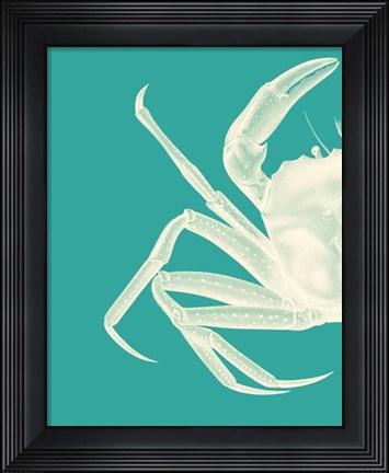Framed Contrasting Crab in Turquoise b Print