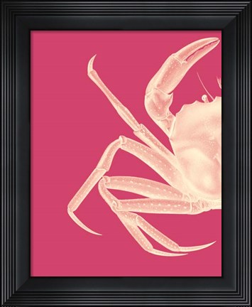 Framed Contrasting Crab in Pink a Print