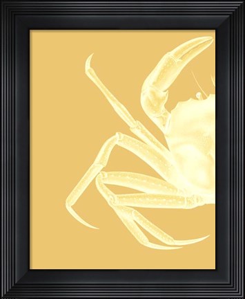 Framed Contrasting Crab in Mustard a Print
