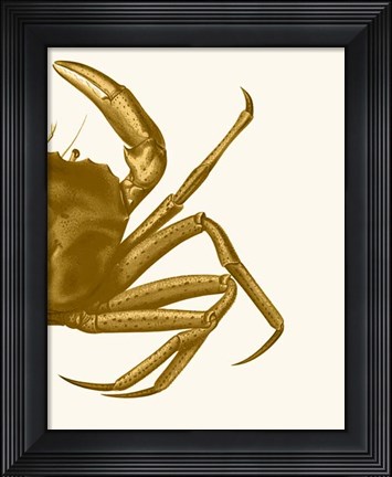 Framed Contrasting Crab in Mustard b Print