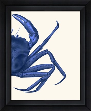 Framed Contrasting Crab in Navy Blue b Print