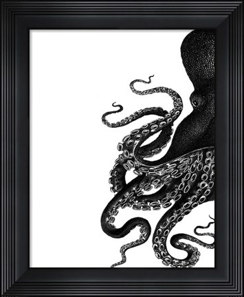 Framed Octopus Black and White a Print