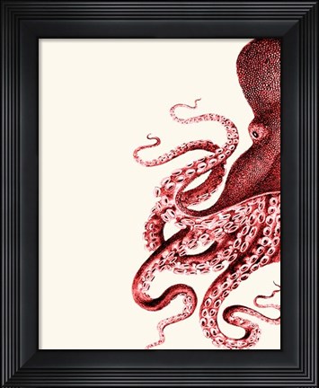 Framed Octopus Red and White a Print