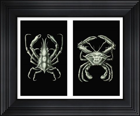 Framed Crabs On Black in 2 panels Print