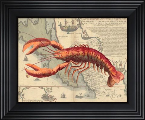 Framed Lobster print on Nautical Map Print