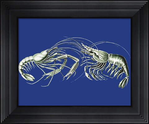 Framed Shrimps On Blue Print