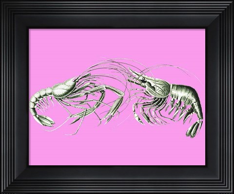 Framed Shrimps On Pink Print