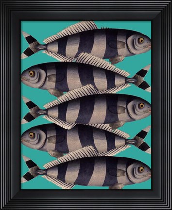 Framed Blue Striped Fish Print