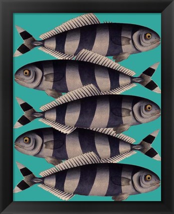 Framed Blue Striped Fish Print