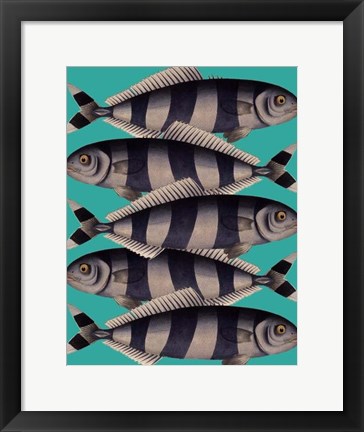 Framed Blue Striped Fish Print