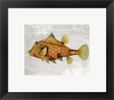 Framed Gold Turret Fish Print