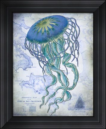 Framed Jellyfish On image of Nautical Map Print