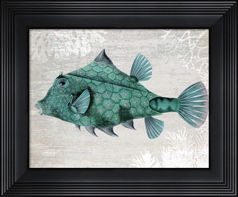 Framed Turquoise Turret Fish Print