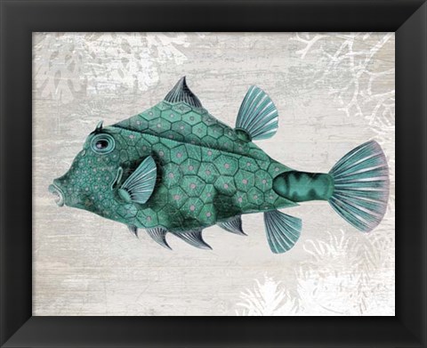 Framed Turquoise Turret Fish Print