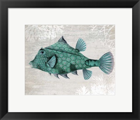 Framed Turquoise Turret Fish Print