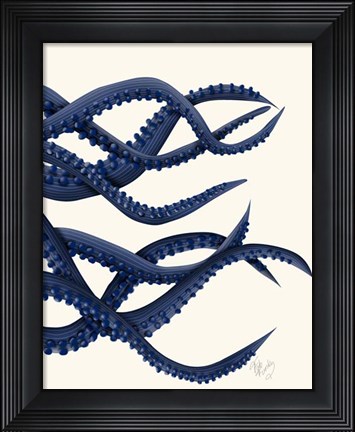 Framed Giant Octopus Blue Triptych c Print
