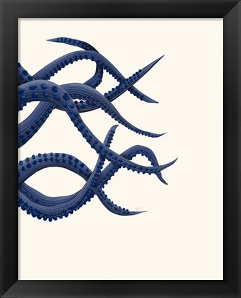 Framed Giant Octopus Tentacles b Print