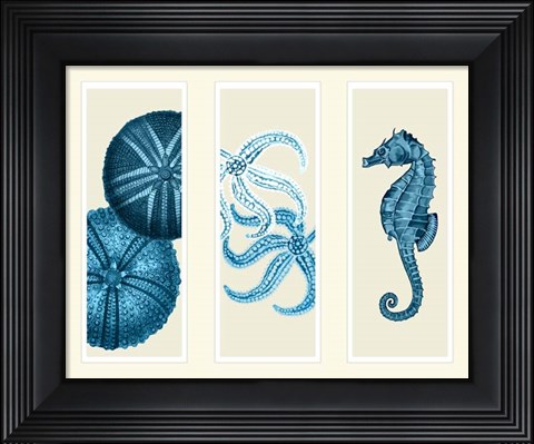 Framed Three Panel Print Sea Urchin Starfish and Seahorse in Blue Print